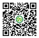 在线问诊