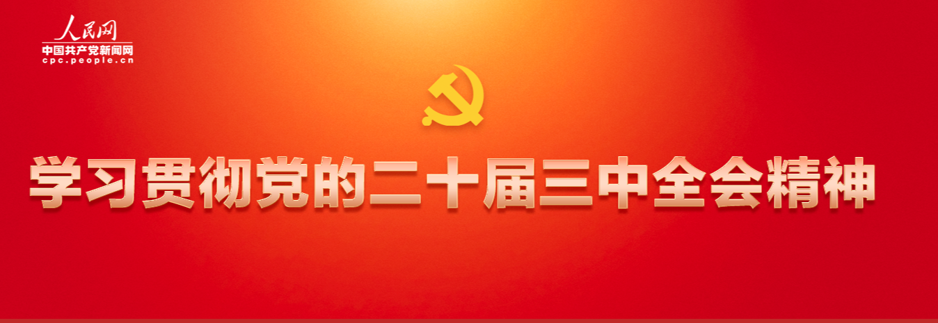 学习贯彻党的二十届三中全会