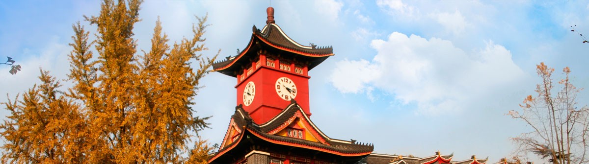 儿童过敏（变态）反应中心
