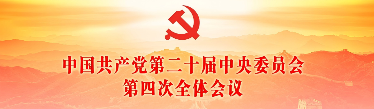 学习贯彻党的二十届四中全会
