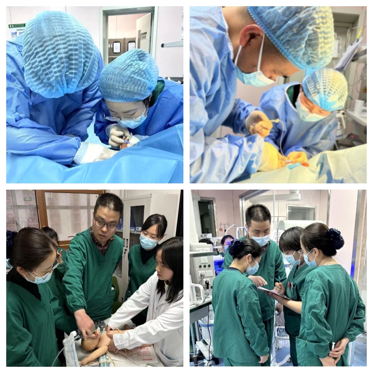 三年高原践使命，载誉归来再前行
——新生儿科党支部举行援藏护士凯旋欢迎会