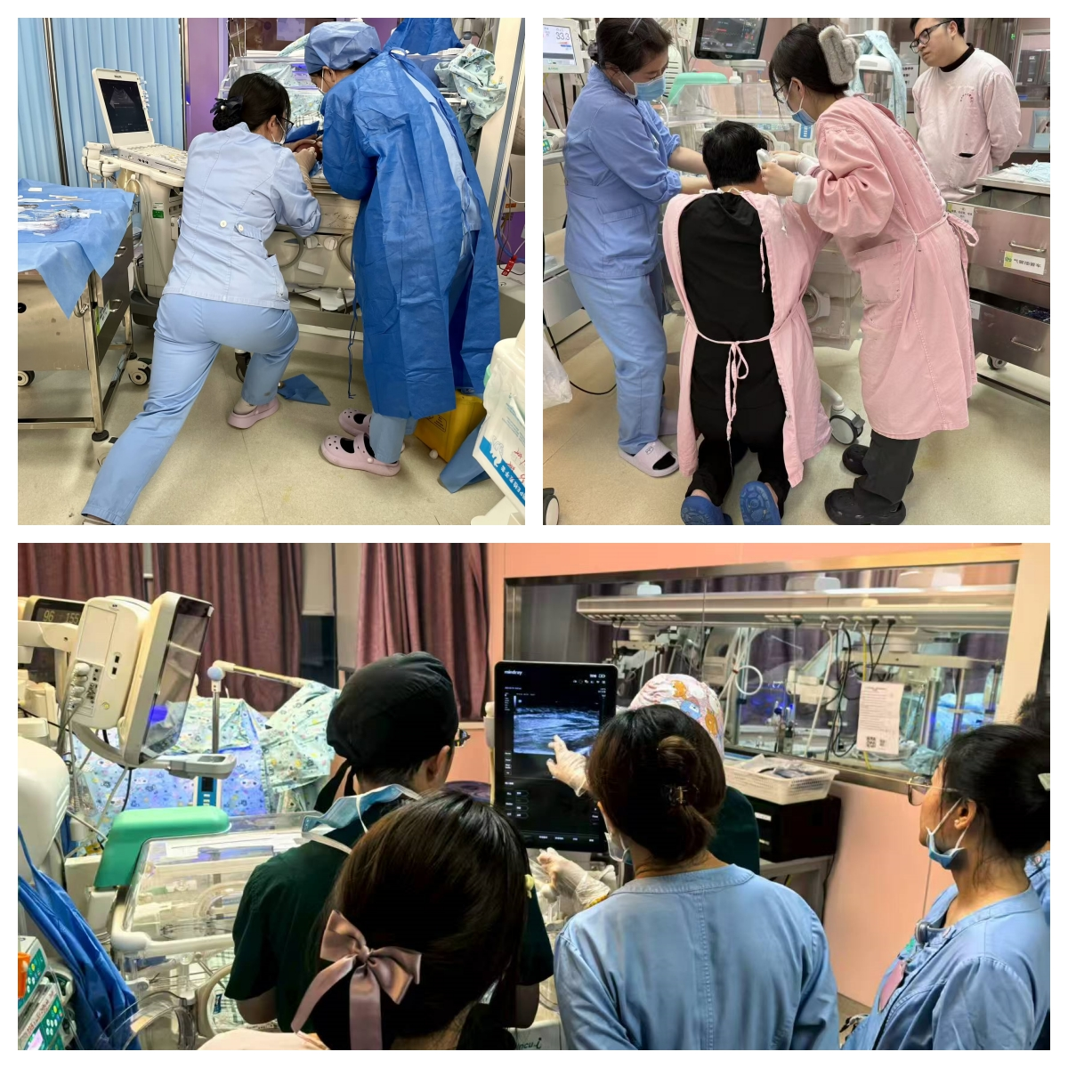 廉洁育苗守初心 清风润医护新生
—— 新生儿科第三届廉政文化作品征集活动圆满收官