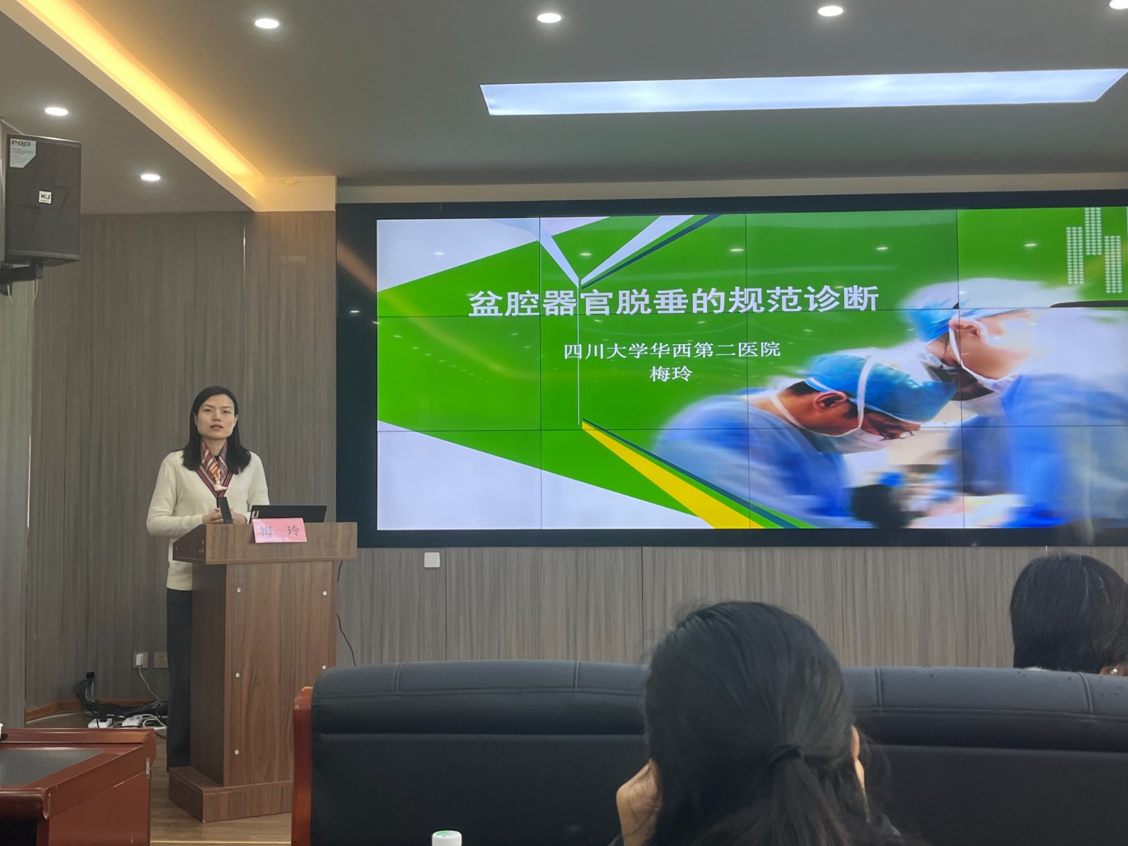 梅玲授课 (1) 梅玲授课 (1)