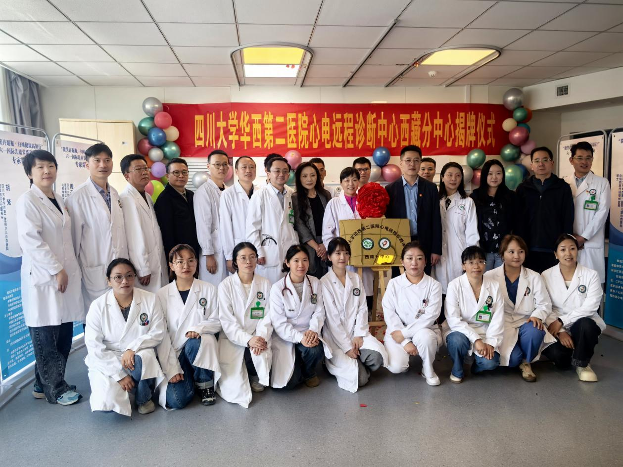 图片11