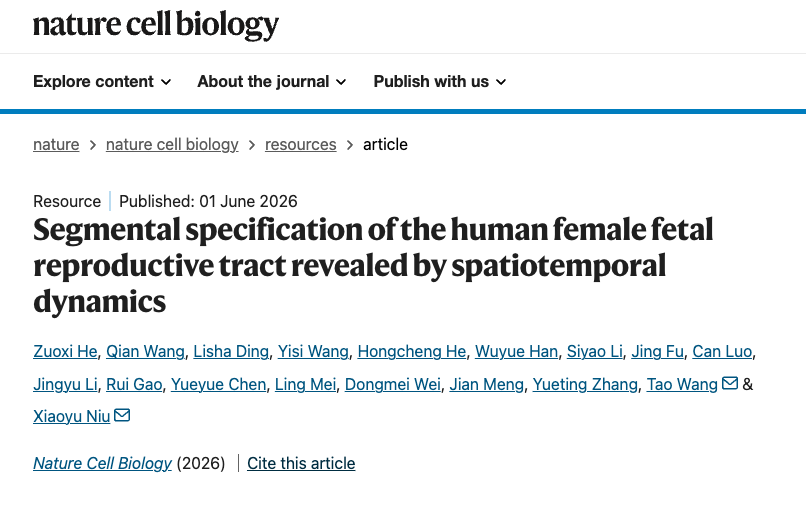 Nature Cell Biology | 我院牛晓宇教授团队首次绘制女性胎儿生殖道的时空发育图谱