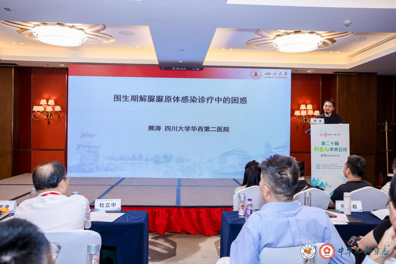 图片6