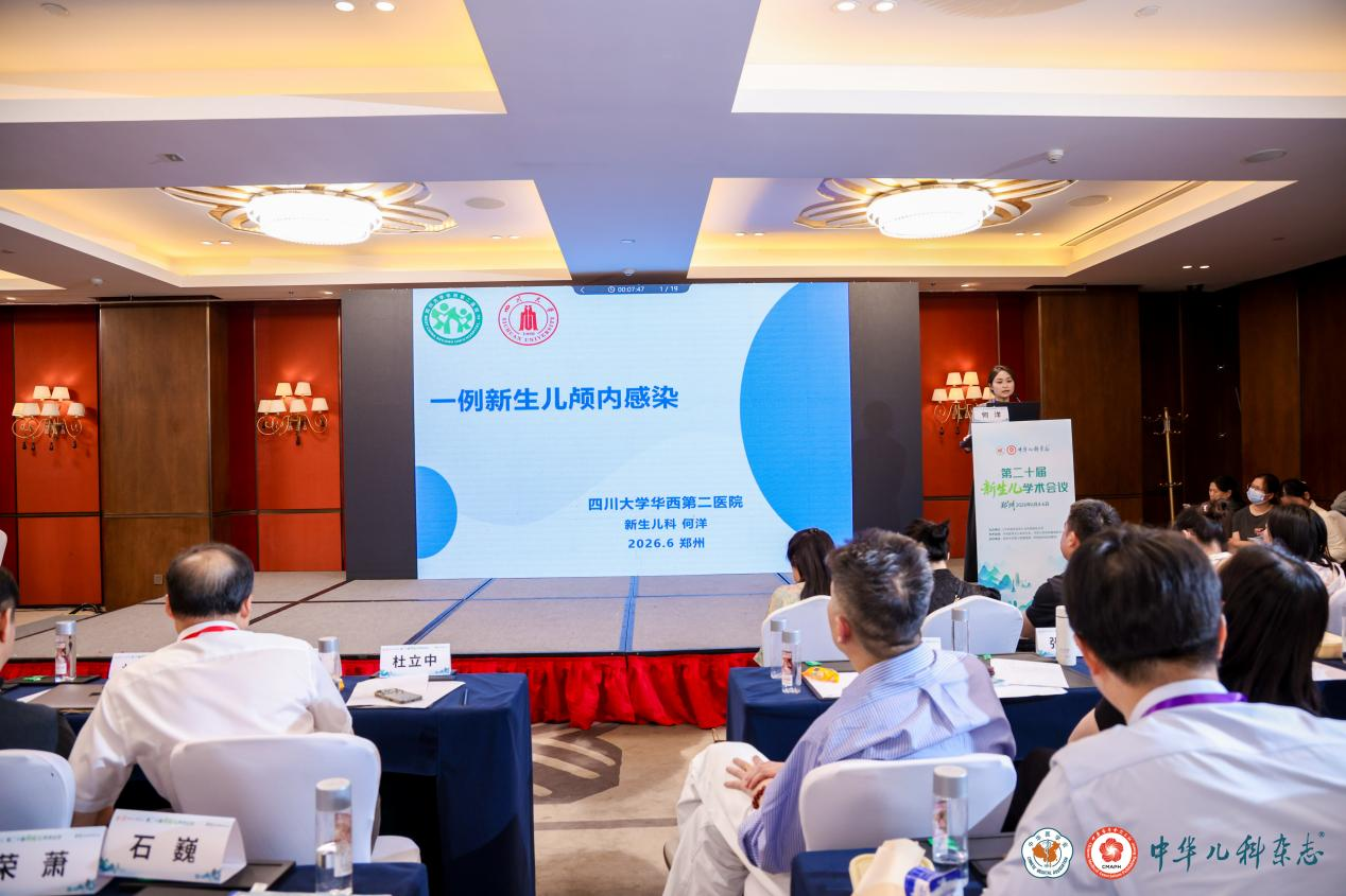 图片8