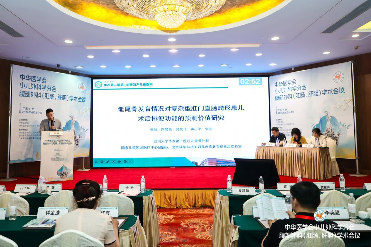 图片5