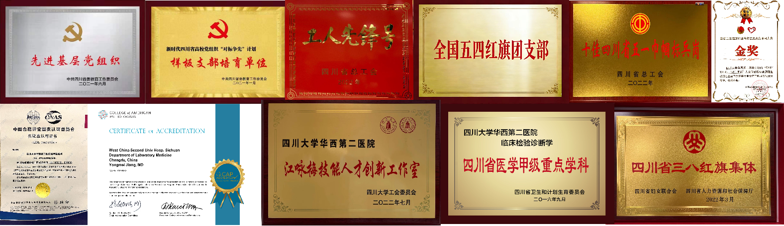 医学检验科获得荣誉