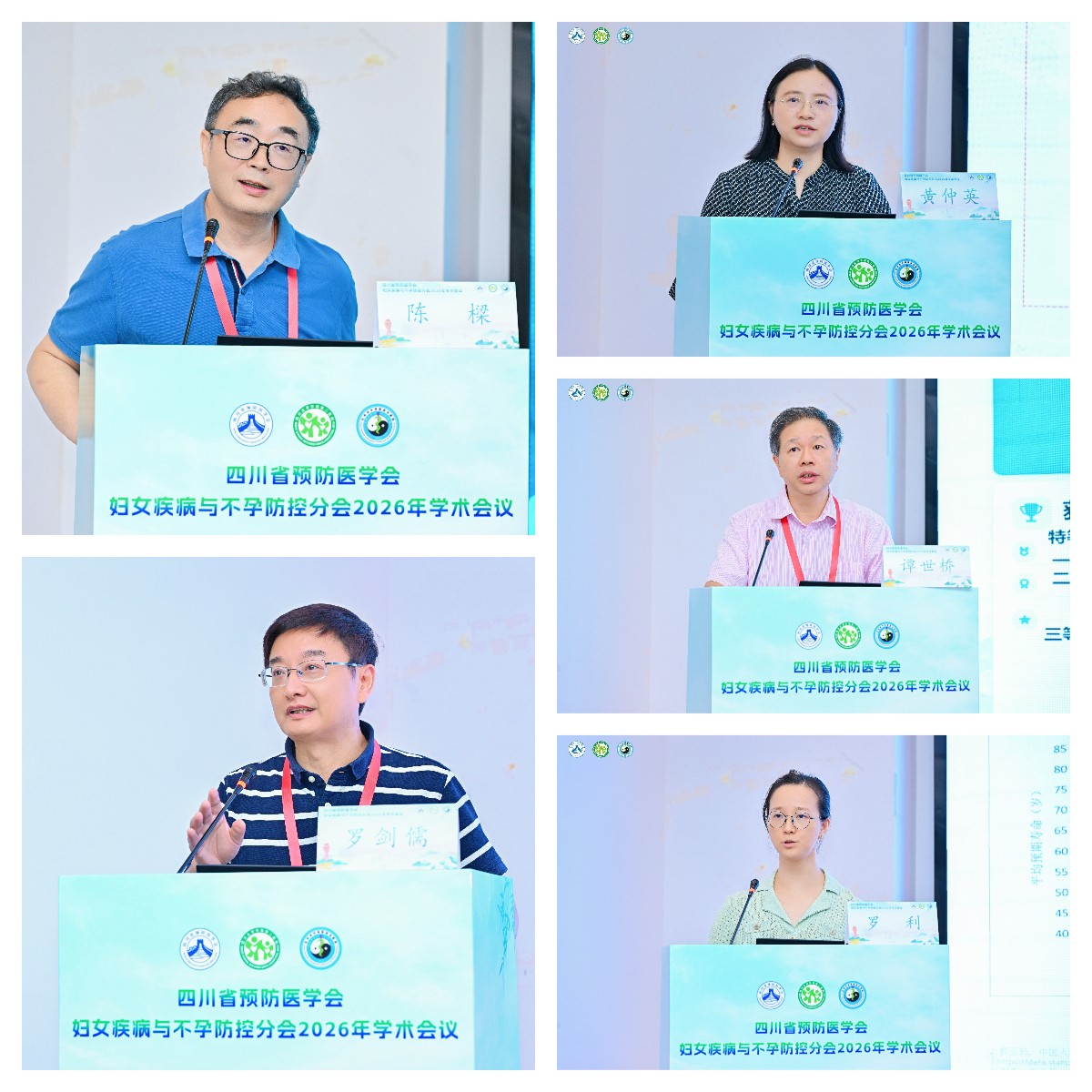 拼图_美图设计室