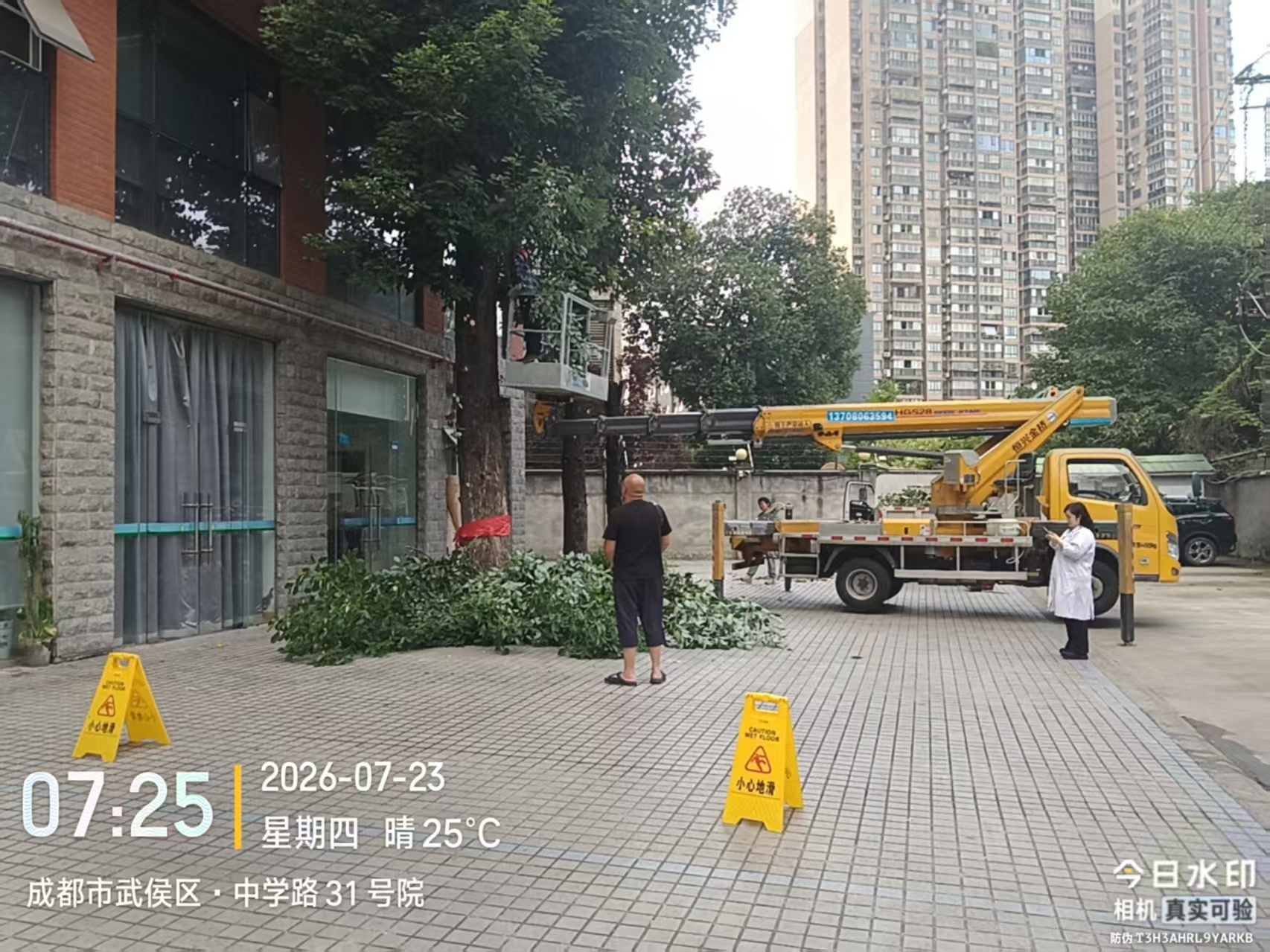头顶除隐患 脚下润绿植
——后勤绿化多措并举守护院区安全与景观