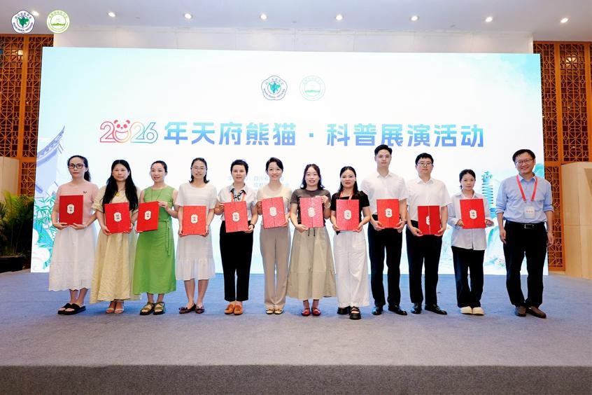 图片7